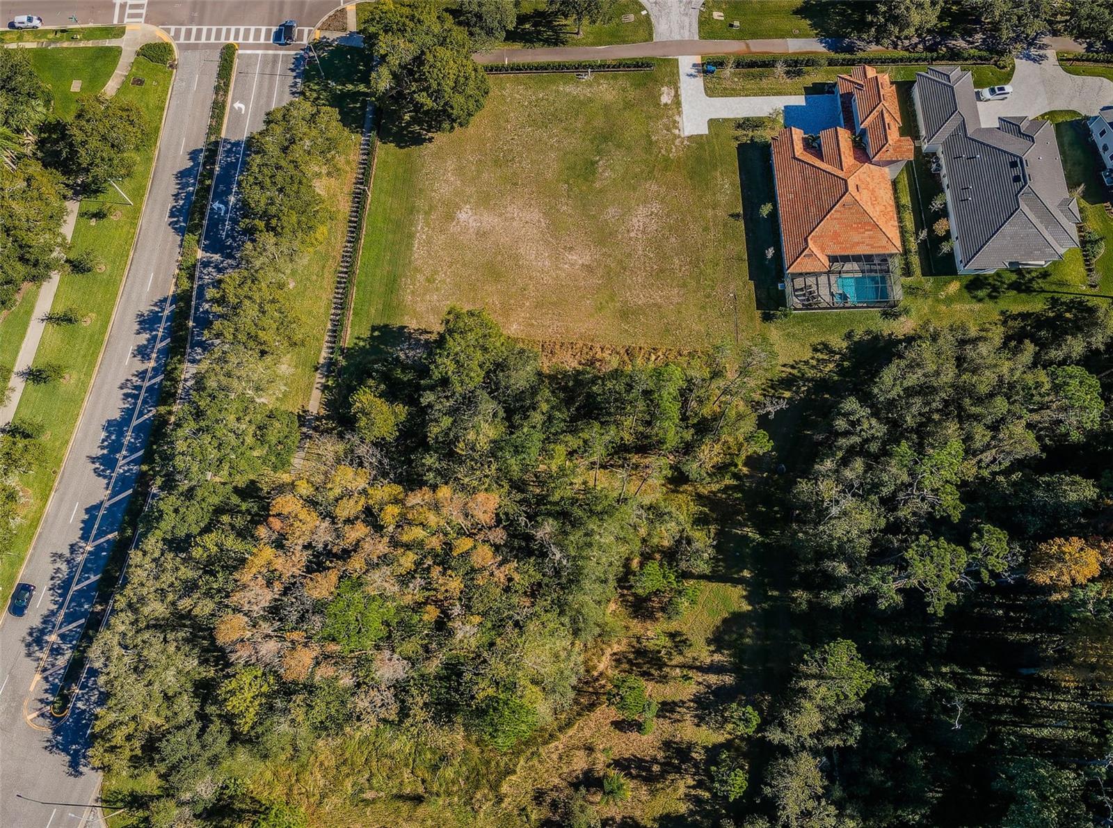 4390 TARPON LAKE BLVD, PALM HARBOR, FL — photo 18