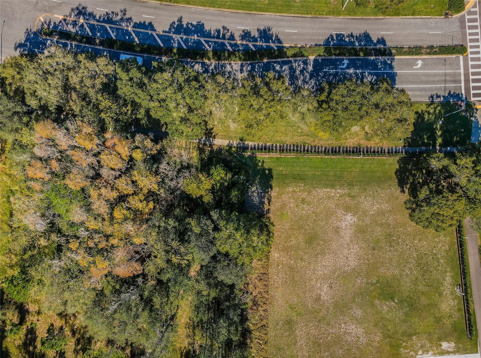 4390 TARPON LAKE BLVD, PALM HARBOR, FL — photo 19