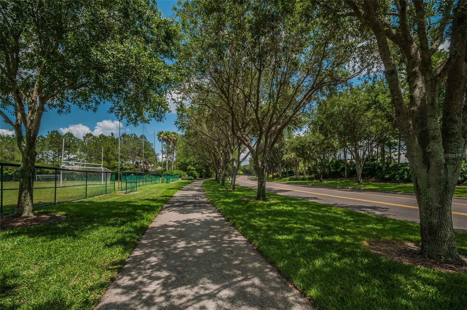 4390 TARPON LAKE BLVD, PALM HARBOR, FL — photo 23