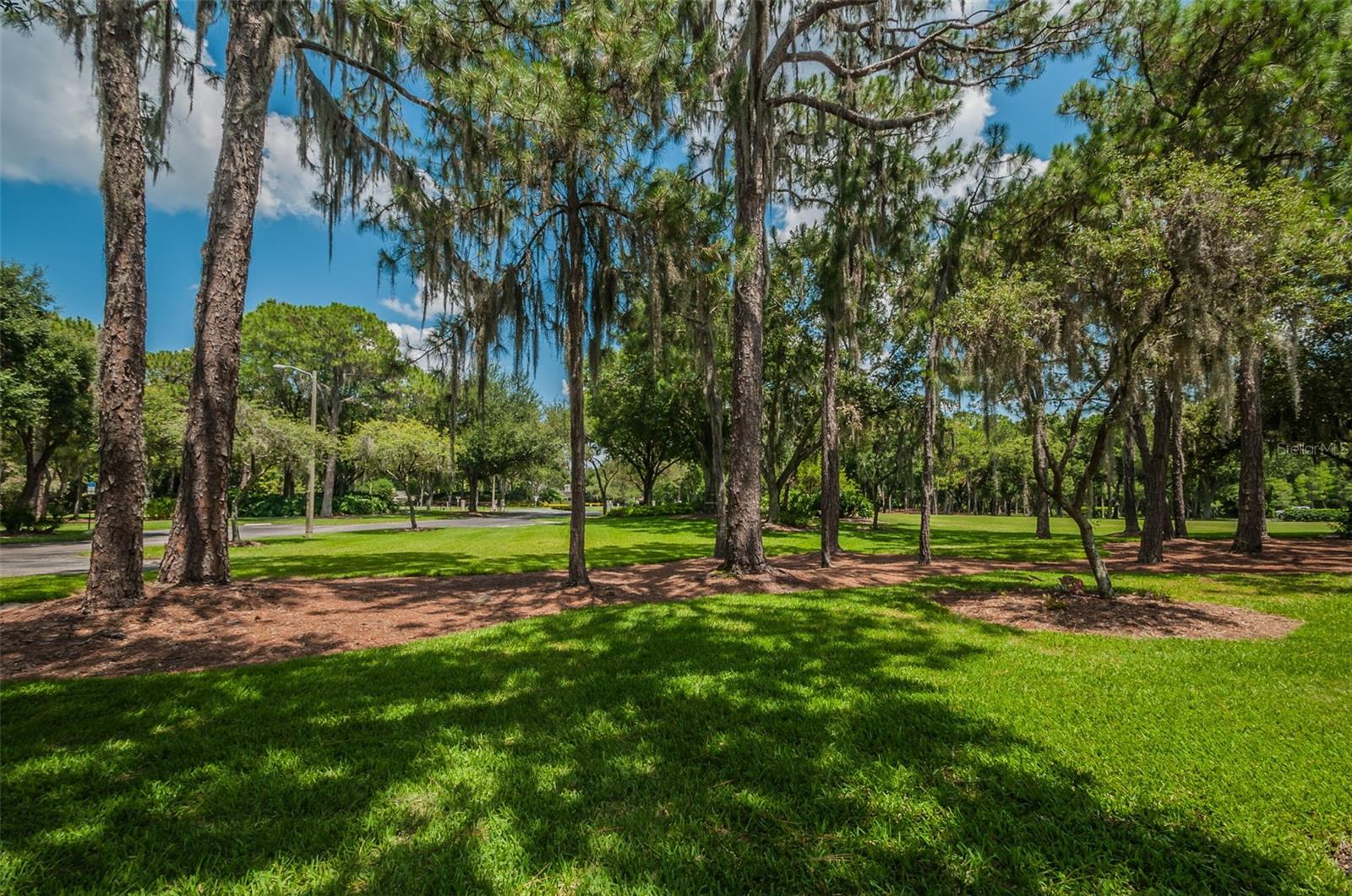 4390 TARPON LAKE BLVD, PALM HARBOR, FL — photo 32