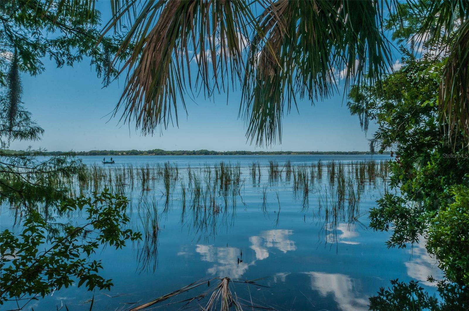4390 TARPON LAKE BLVD, PALM HARBOR, FL — photo 42
