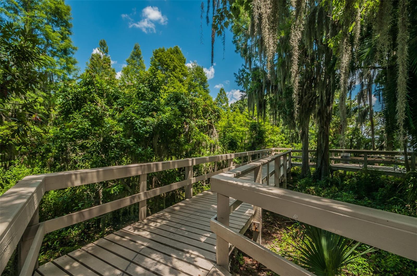 4390 TARPON LAKE BLVD, PALM HARBOR, FL — photo 44