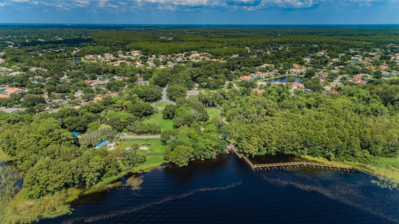 4390 TARPON LAKE BLVD, PALM HARBOR, FL — photo 46