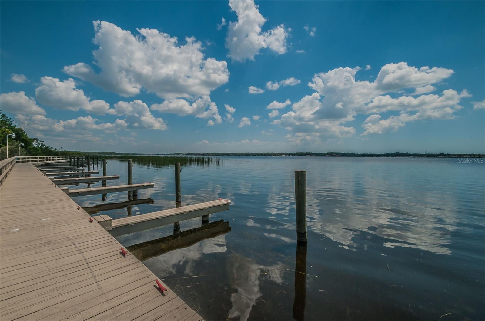 4390 TARPON LAKE BLVD, PALM HARBOR, FL — photo 48