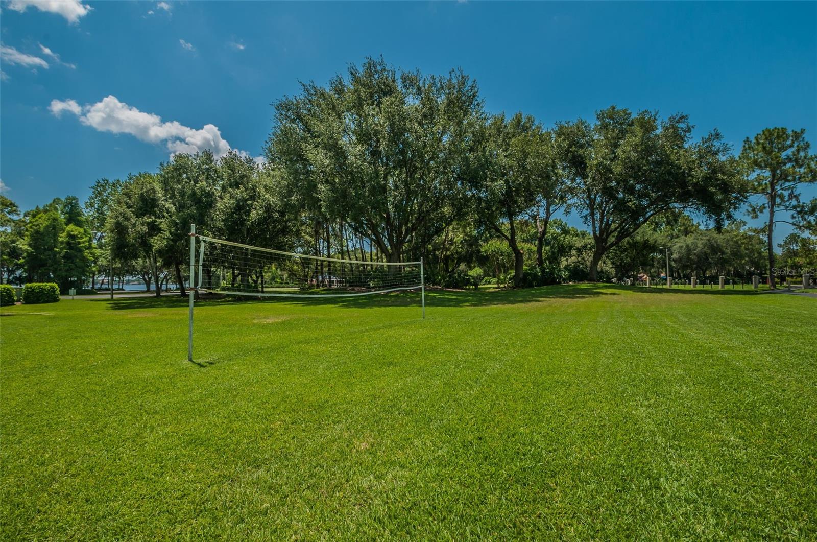 4390 TARPON LAKE BLVD, PALM HARBOR, FL — photo 54