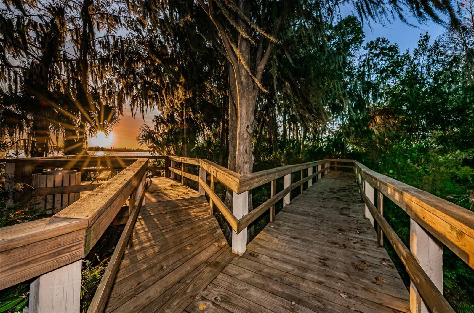 4390 TARPON LAKE BLVD, PALM HARBOR, FL — photo 60