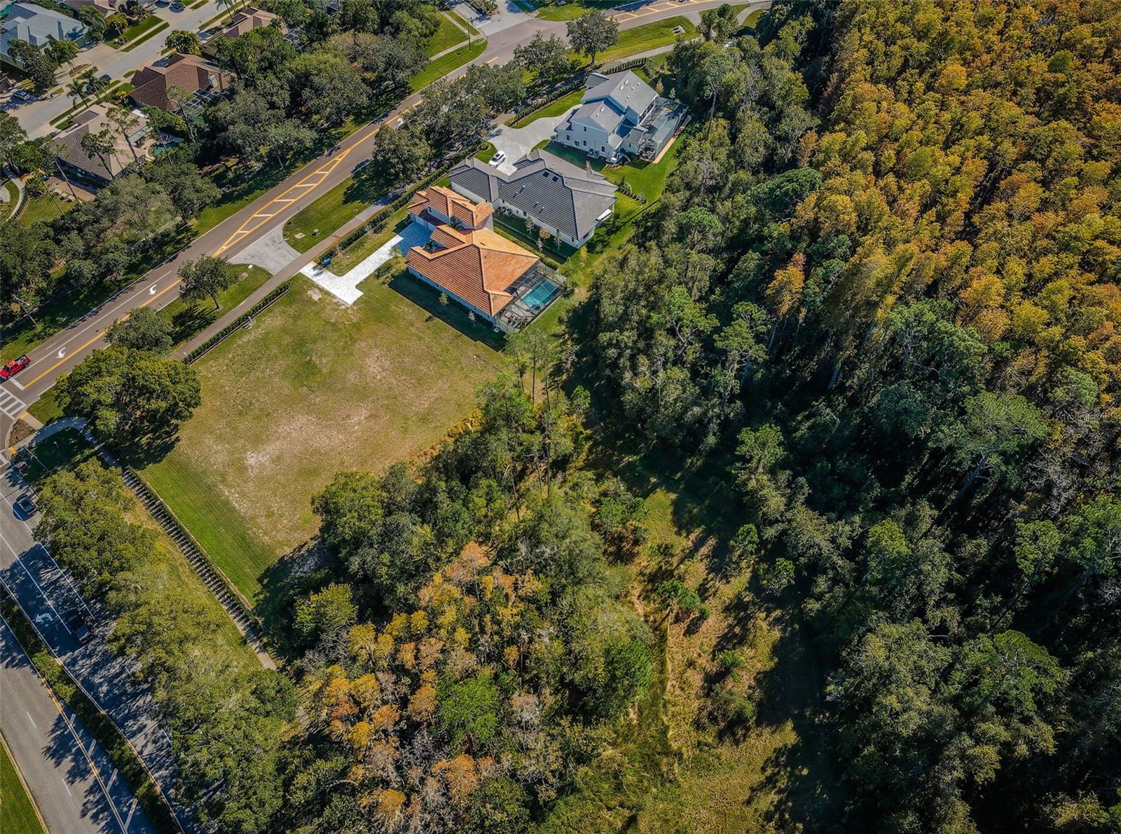4390 TARPON LAKE BLVD, PALM HARBOR, FL — photo 3