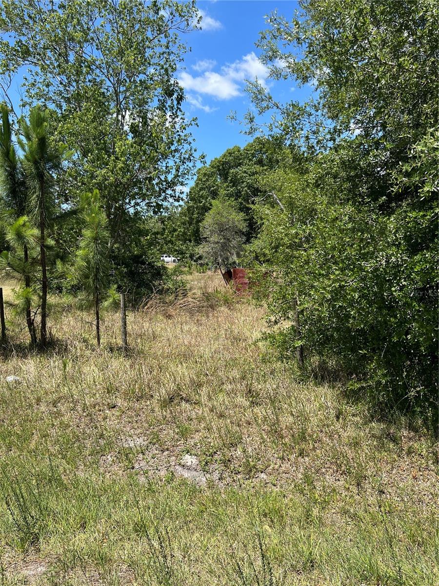 2519 STATE ROAD 33, CLERMONT, FL — photo 12