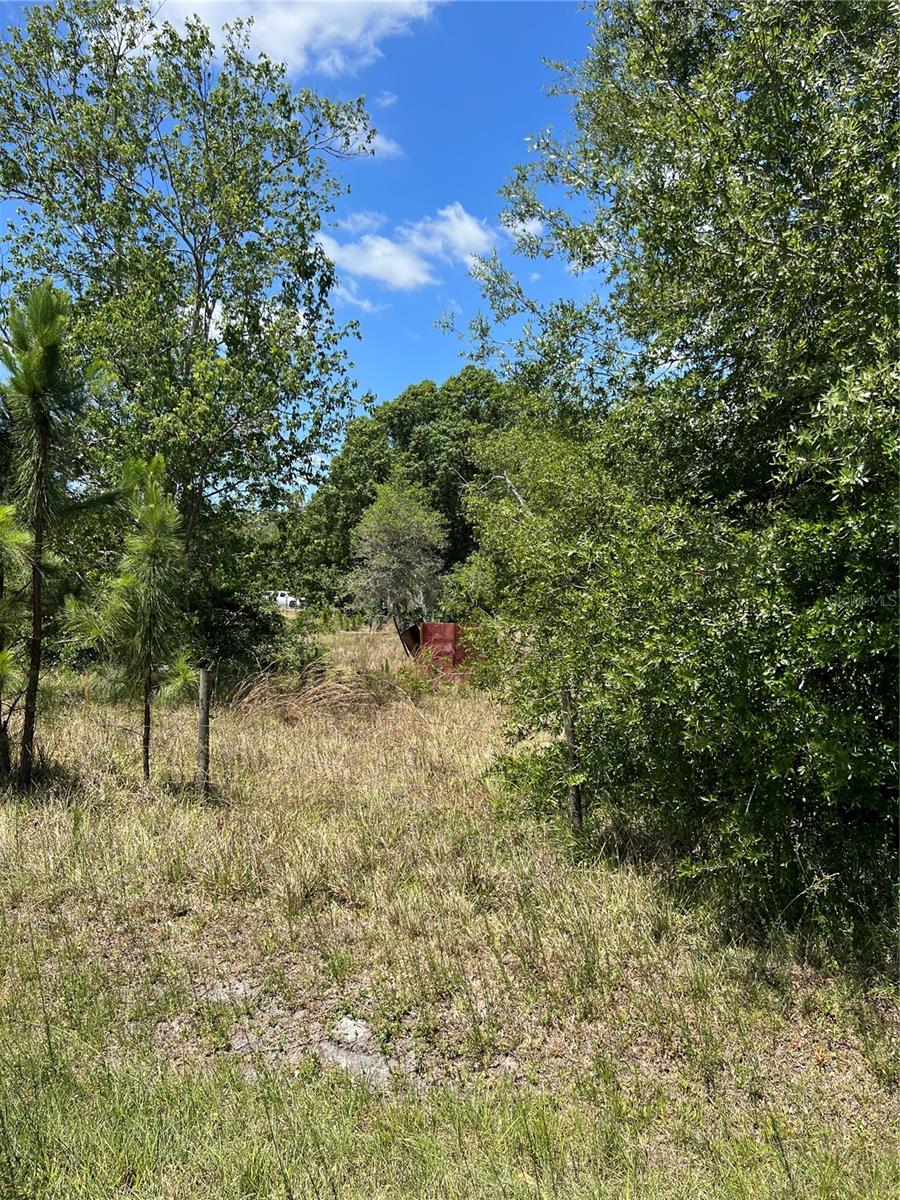 2519 STATE ROAD 33, CLERMONT, FL — photo 13