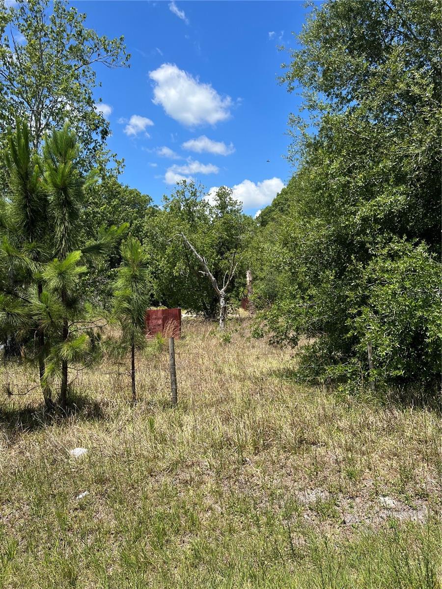 2519 STATE ROAD 33, CLERMONT, FL — photo 15