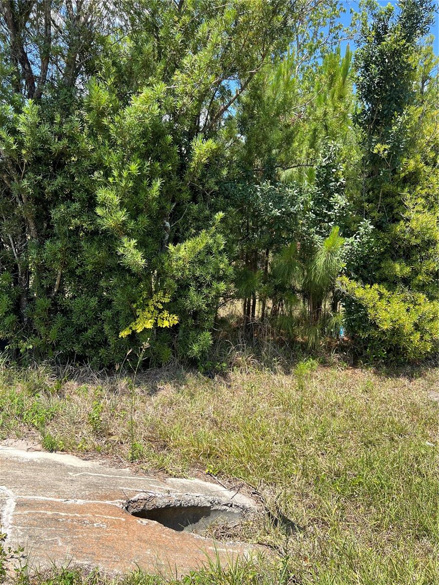 2519 STATE ROAD 33, CLERMONT, FL — photo 17