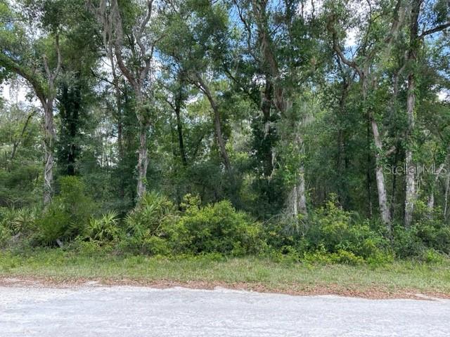 6471 OTTER DR, WEBSTER, FL — photo 2