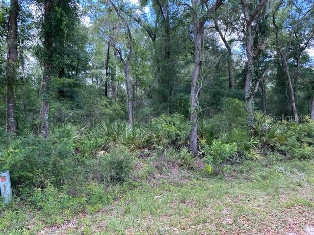 6471 OTTER DR, WEBSTER, FL