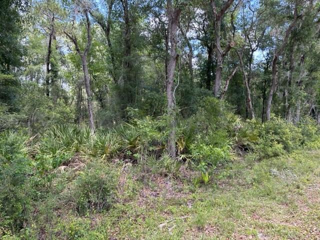 6471 OTTER DR, WEBSTER, FL — photo 3