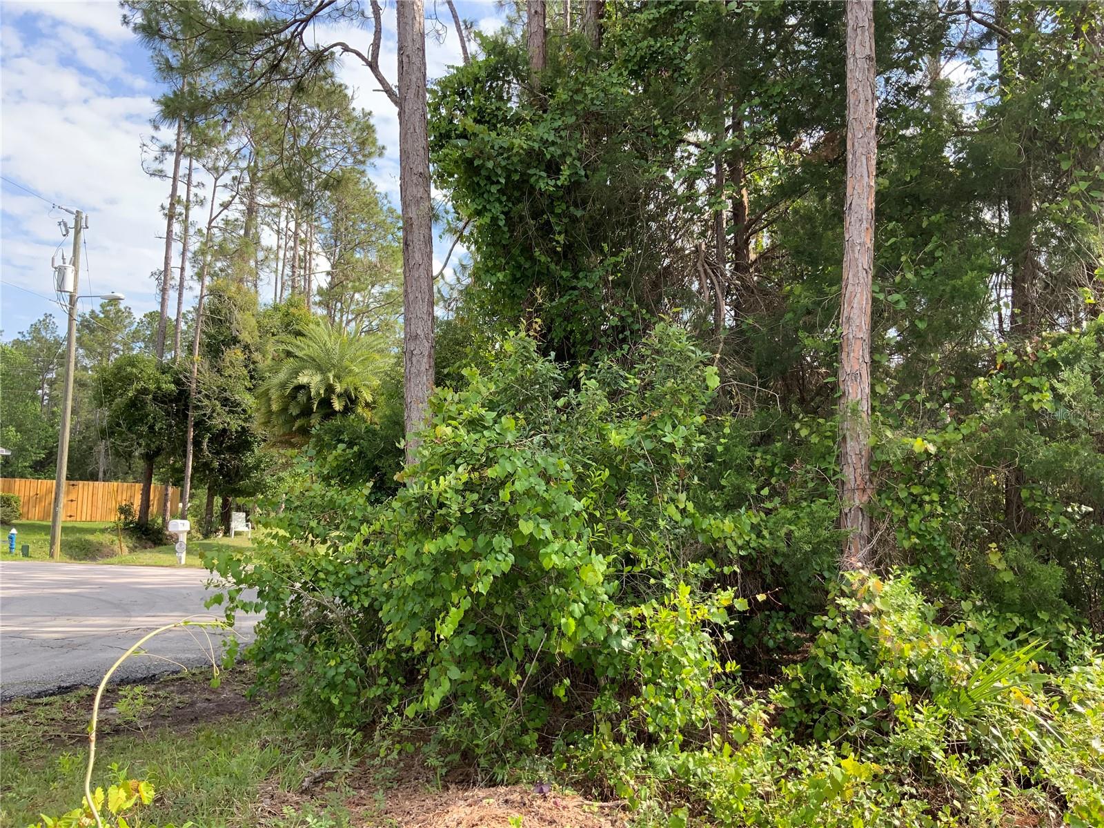 10 RIPTON PL, PALM COAST, FL — photo 5