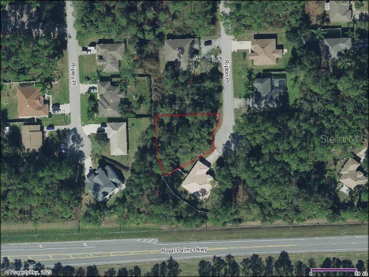 10 RIPTON PL, PALM COAST, FL — photo 8