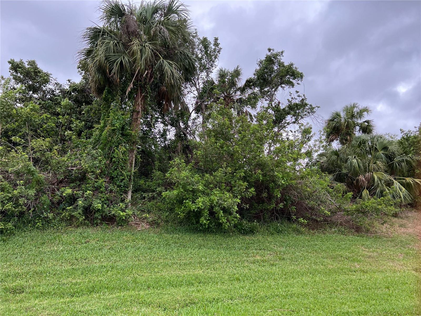 WOODBRIDGE DR, VENICE, FL — photo 11