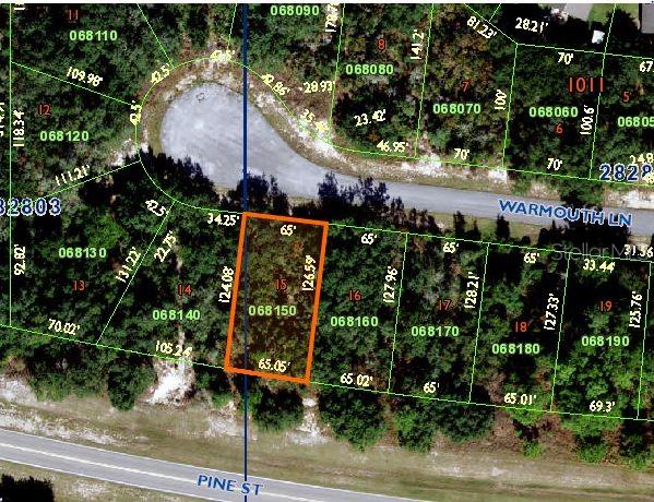 118 WARMOUTH LN, POINCIANA, FL