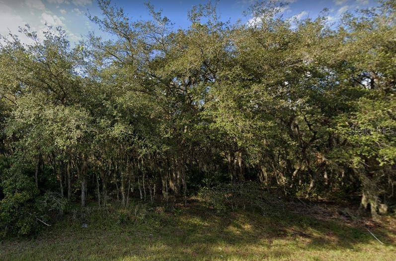 609 MARLIN WAY, POINCIANA, FL — photo 3