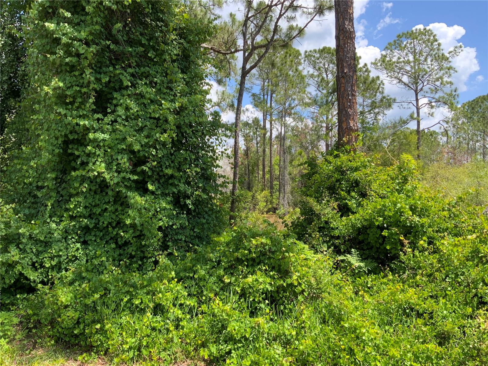 2690 KINGSDALE DR, DELTONA, FL — photo 4