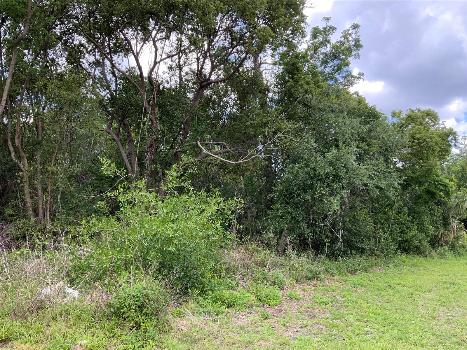 HASTINGS DR, DELTONA, FL — photo 5