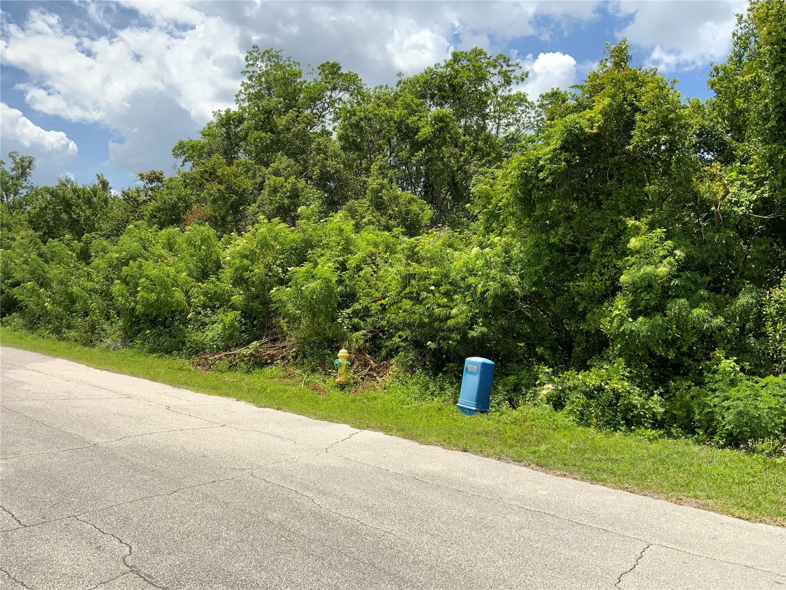 HASTINGS DR, DELTONA, FL — photo 10