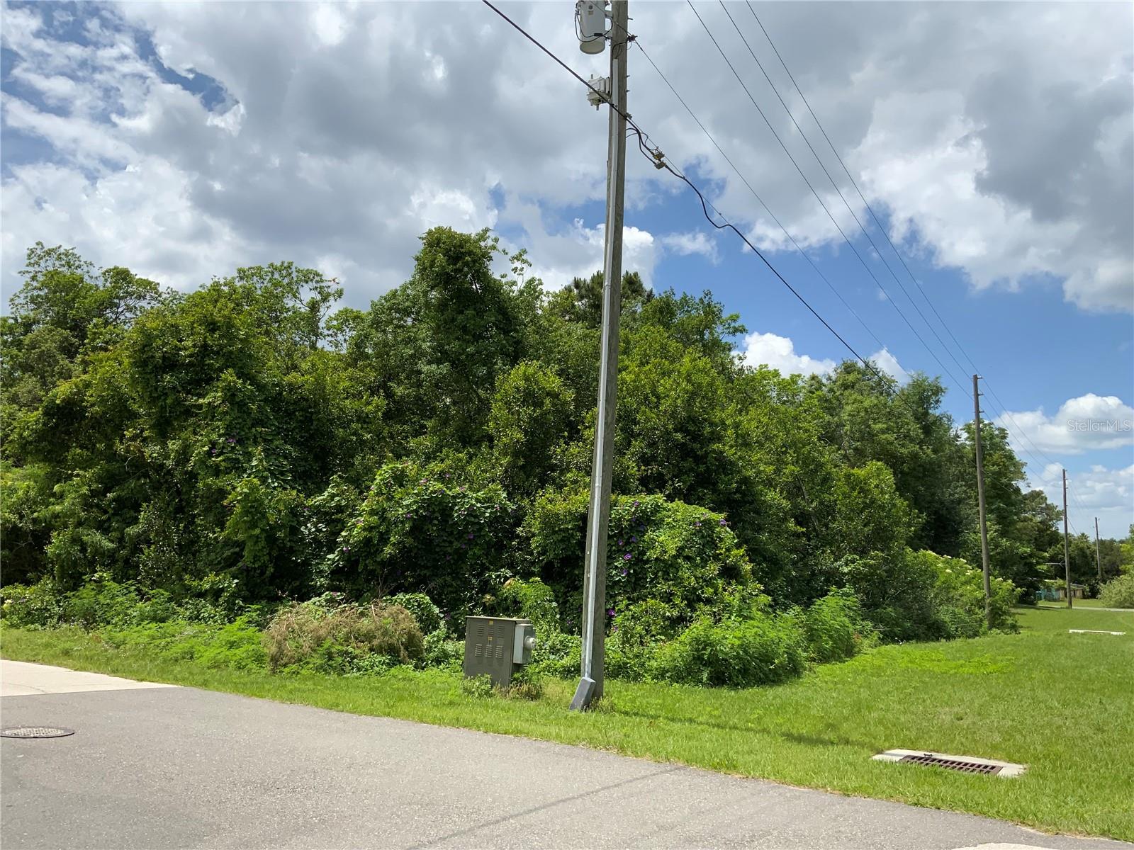 HASTINGS DR, DELTONA, FL — photo 14