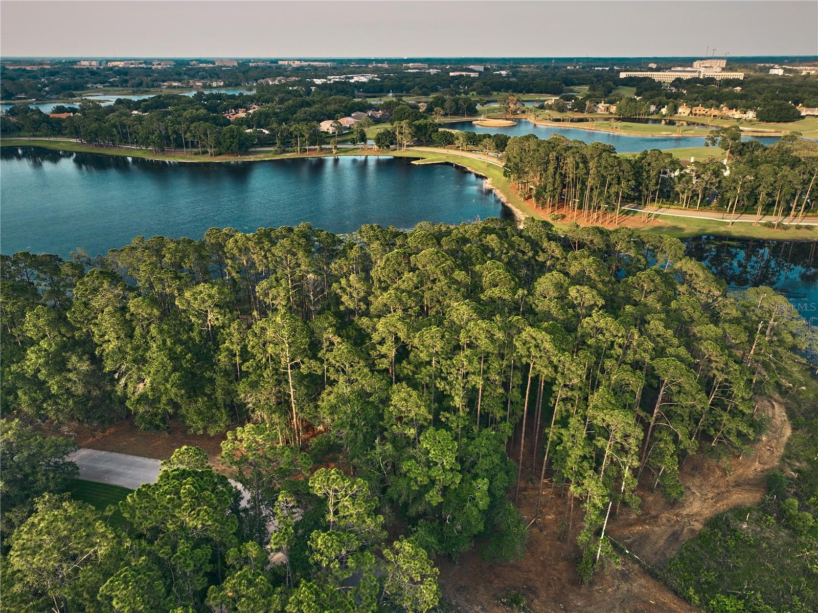 116 E GREENTREE LN, LAKE MARY, FL — photo 3