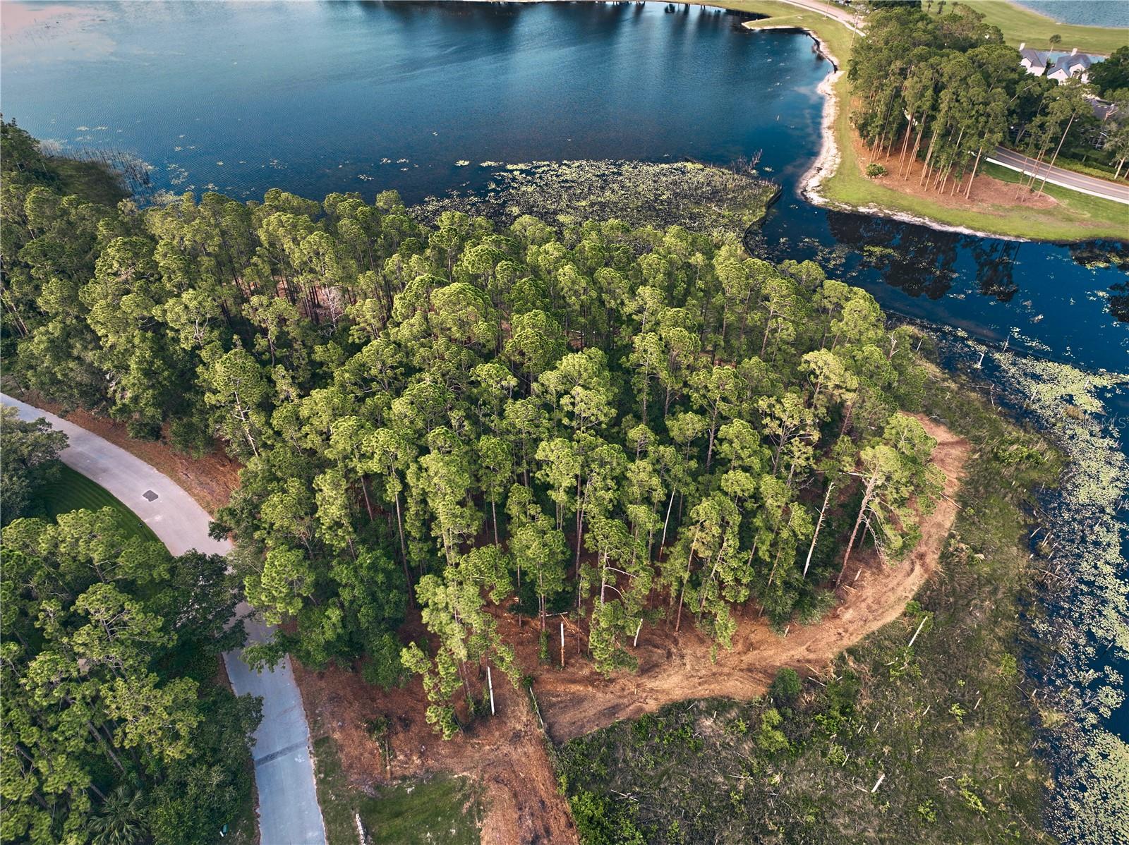 116 E GREENTREE LN, LAKE MARY, FL — photo 5