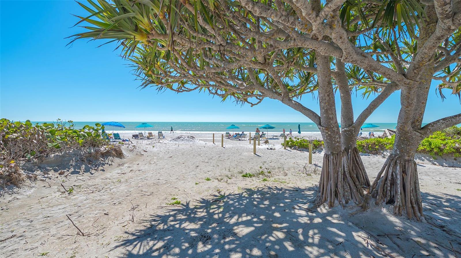, LONGBOAT KEY, FL — photo 49