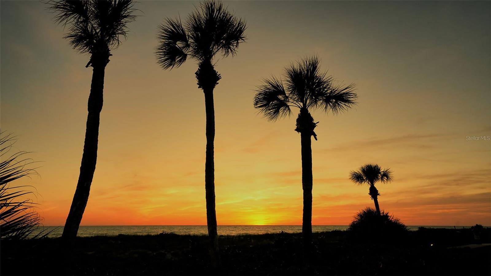 , LONGBOAT KEY, FL — photo 52