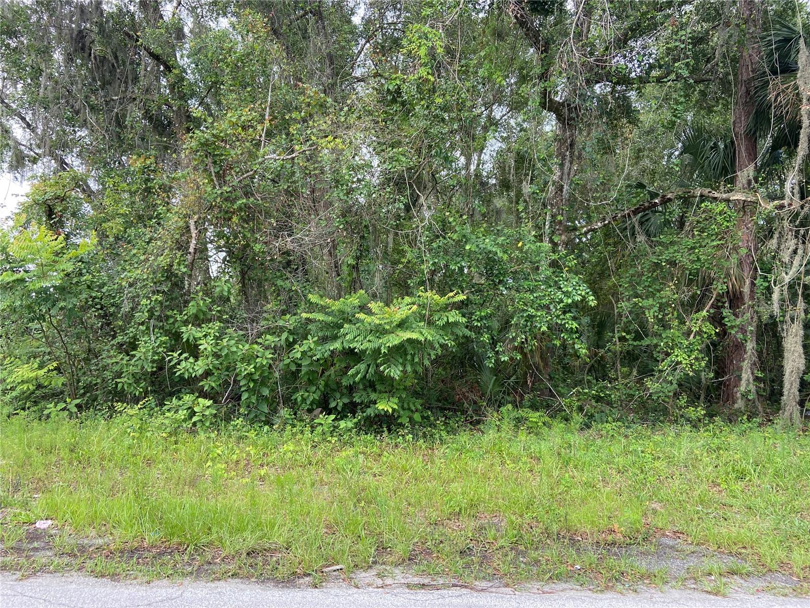 WILSON AVE, DELAND, FL