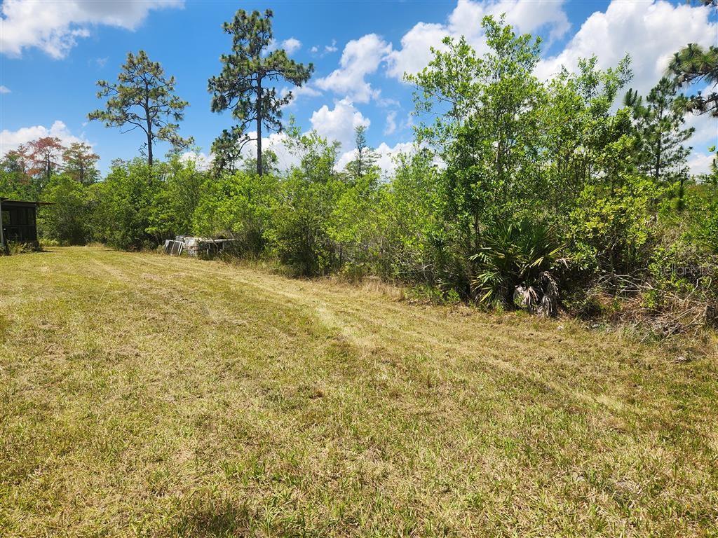 HOLOPAW GROVES RD, ST CLOUD, FL — photo 3