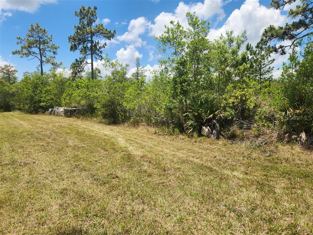 HOLOPAW GROVES RD, ST CLOUD, FL — photo 4