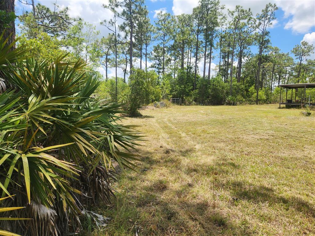 HOLOPAW GROVES RD, ST CLOUD, FL — photo 6