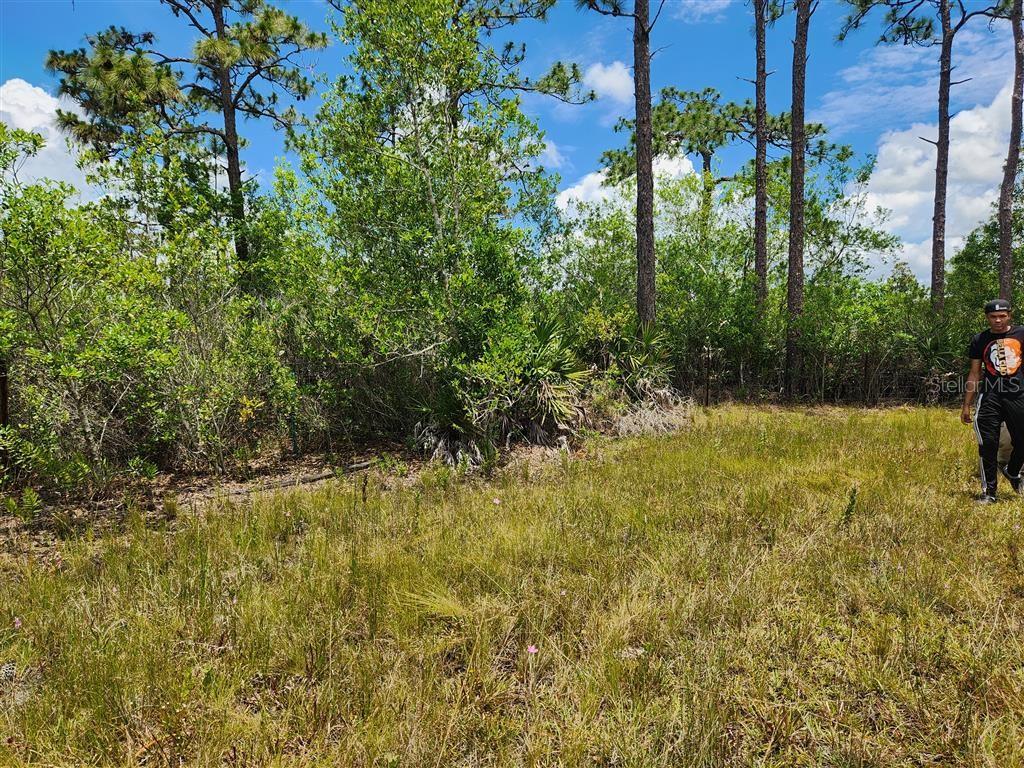 HOLOPAW GROVES RD, ST CLOUD, FL — photo 25