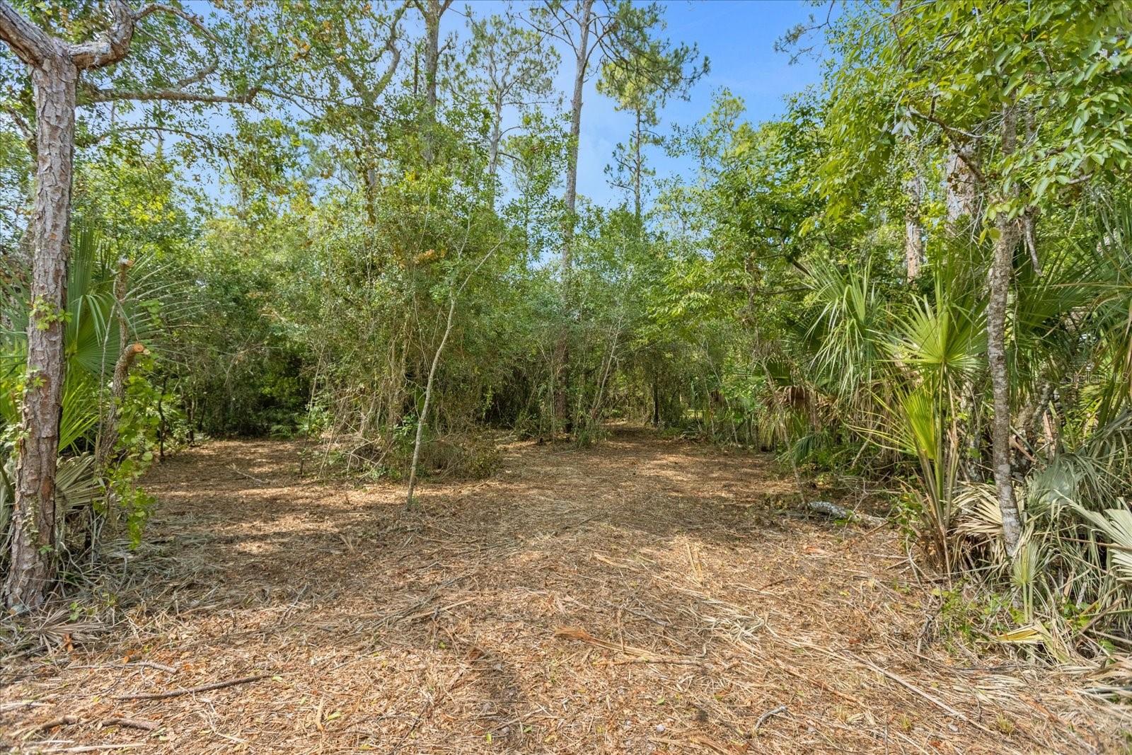 MAR LISA COVE RD, LAKE WALES, FL — photo 2