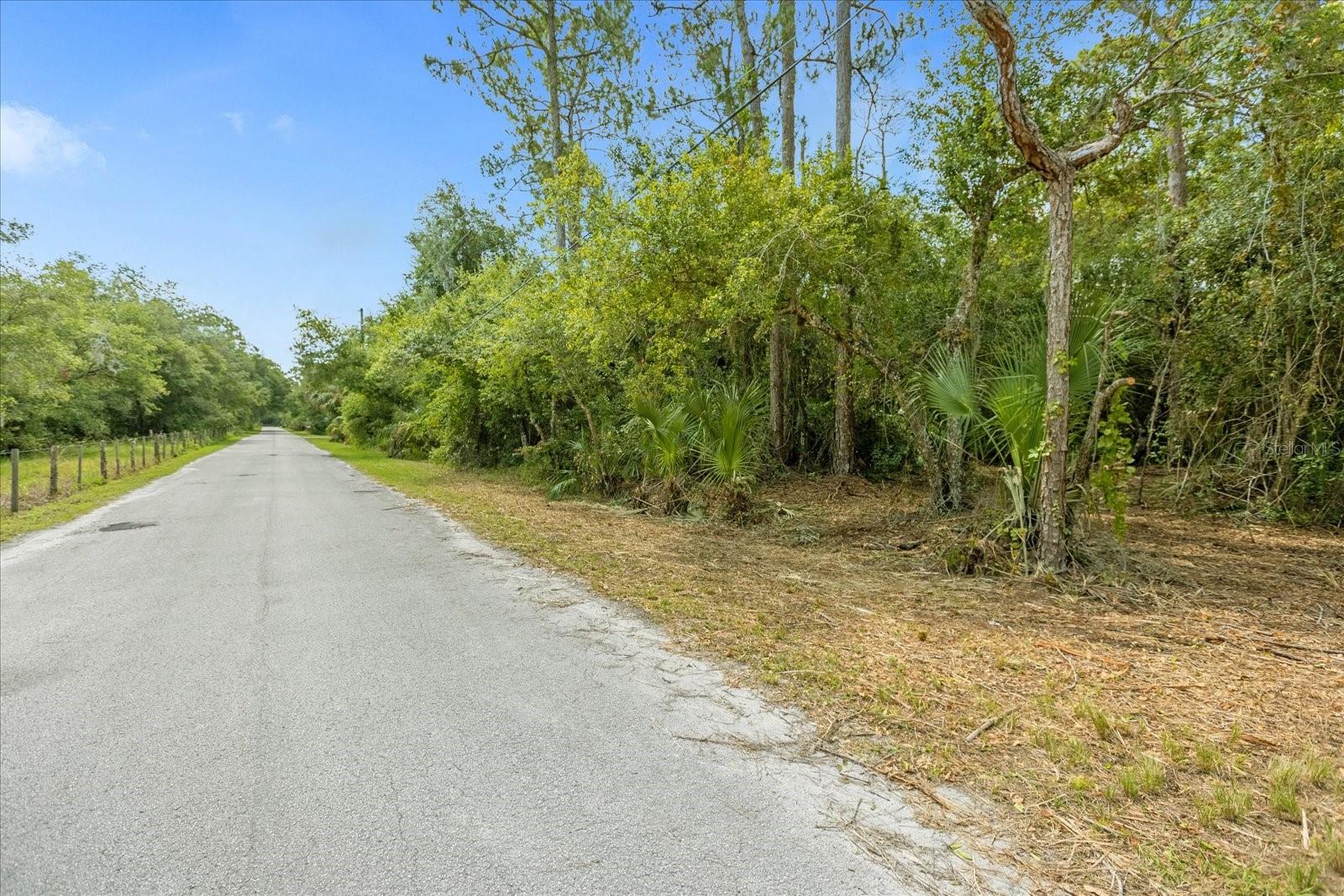 MAR LISA COVE RD, LAKE WALES, FL — photo 3