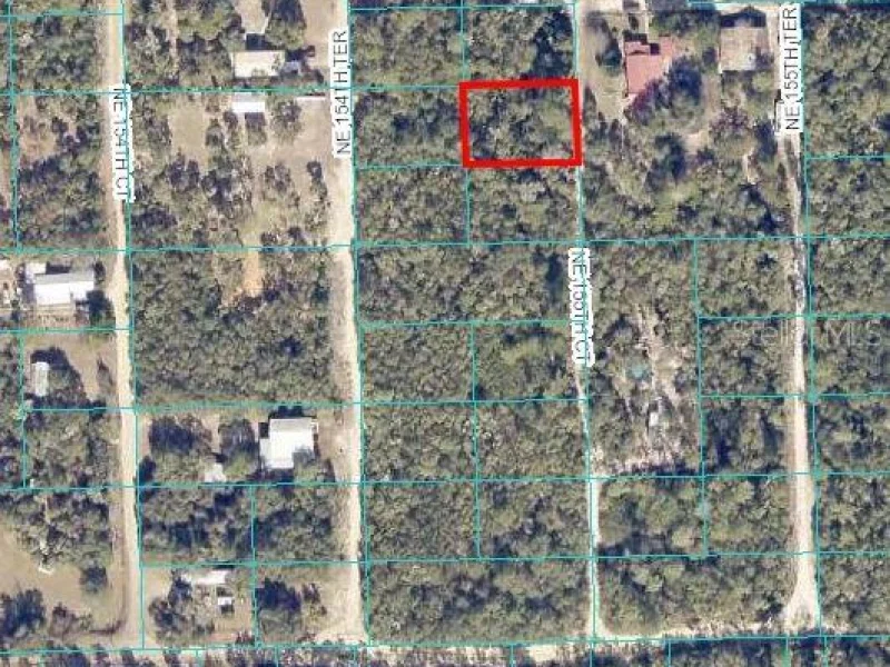 NE 155TH CT, FORT MC COY, FL