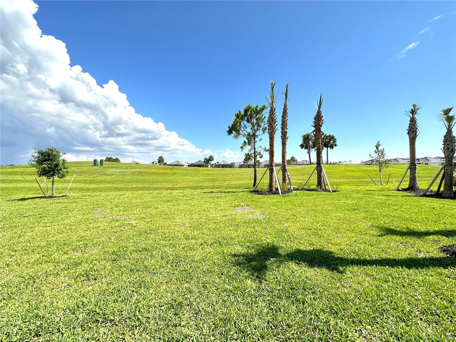 25115 LONGMEADOW DR, PUNTA GORDA, FL — photo 31