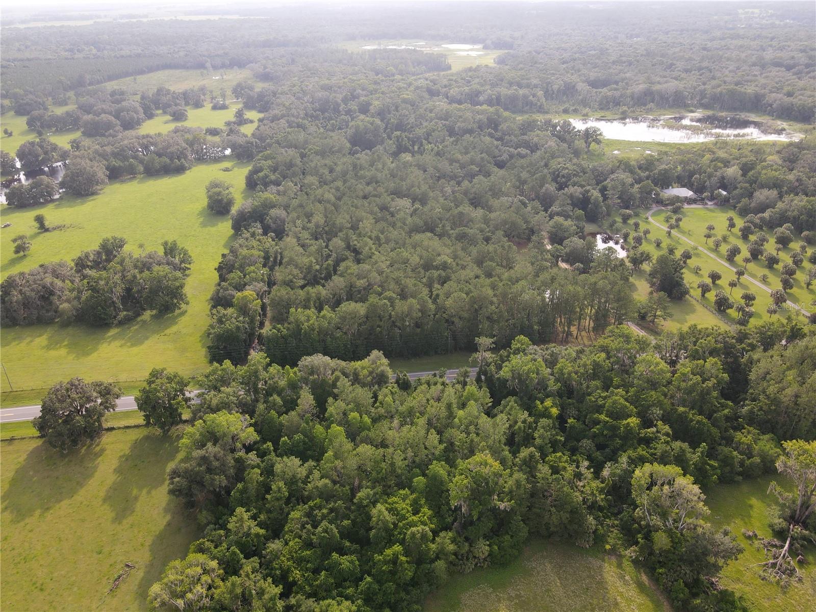 15208 SW WILLISTON RD, MICANOPY, FL — photo 7