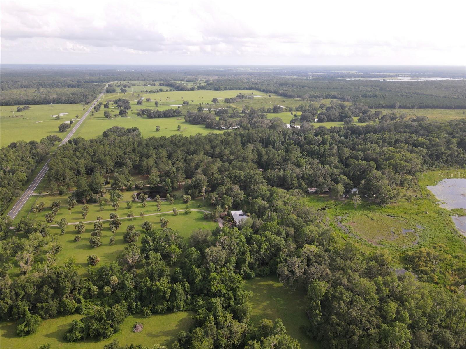15208 SW WILLISTON RD, MICANOPY, FL — photo 5