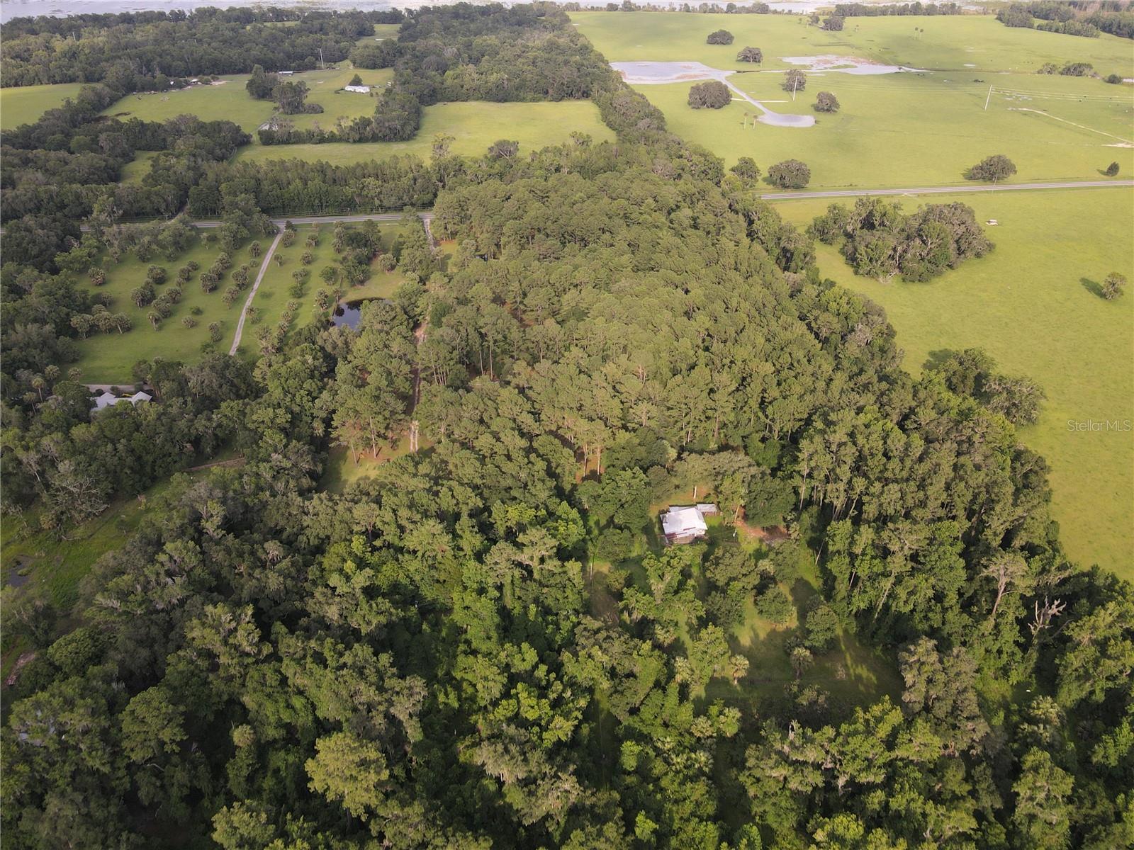 15208 SW WILLISTON RD, MICANOPY, FL — photo 11