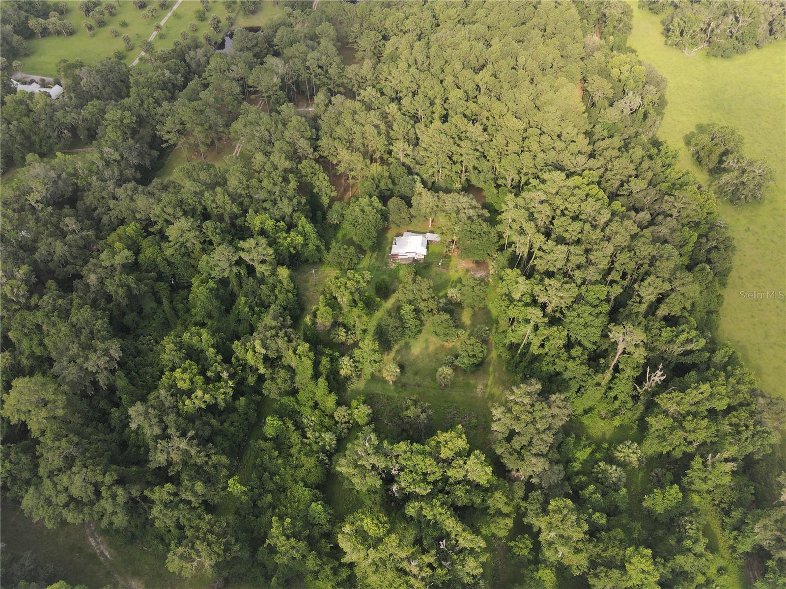 15208 SW WILLISTON RD, MICANOPY, FL — photo 12