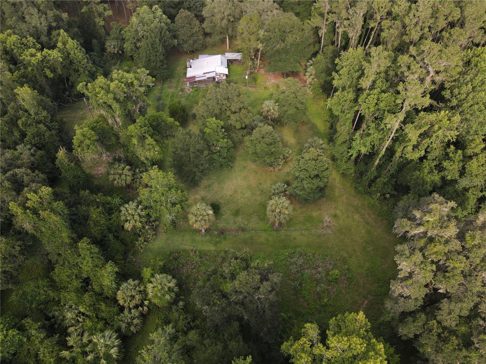 15208 SW WILLISTON RD, MICANOPY, FL — photo 16