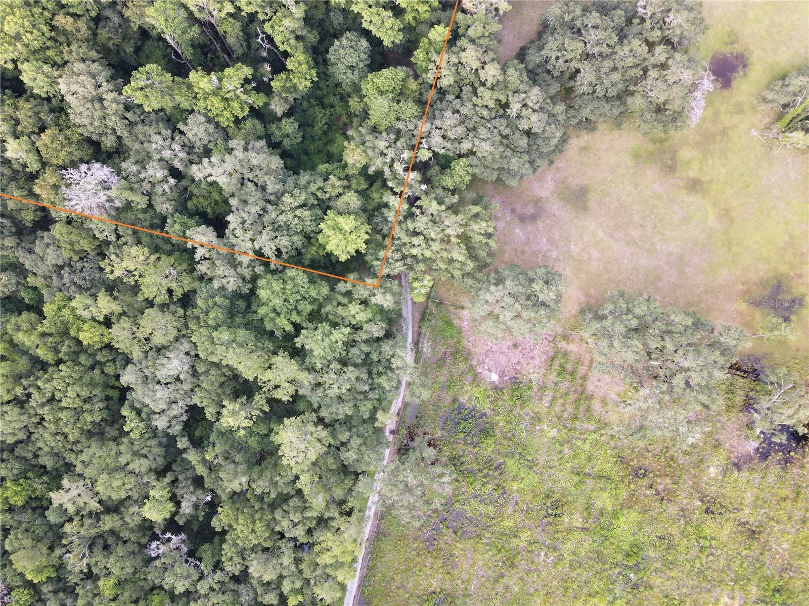 15208 SW WILLISTON RD, MICANOPY, FL — photo 19