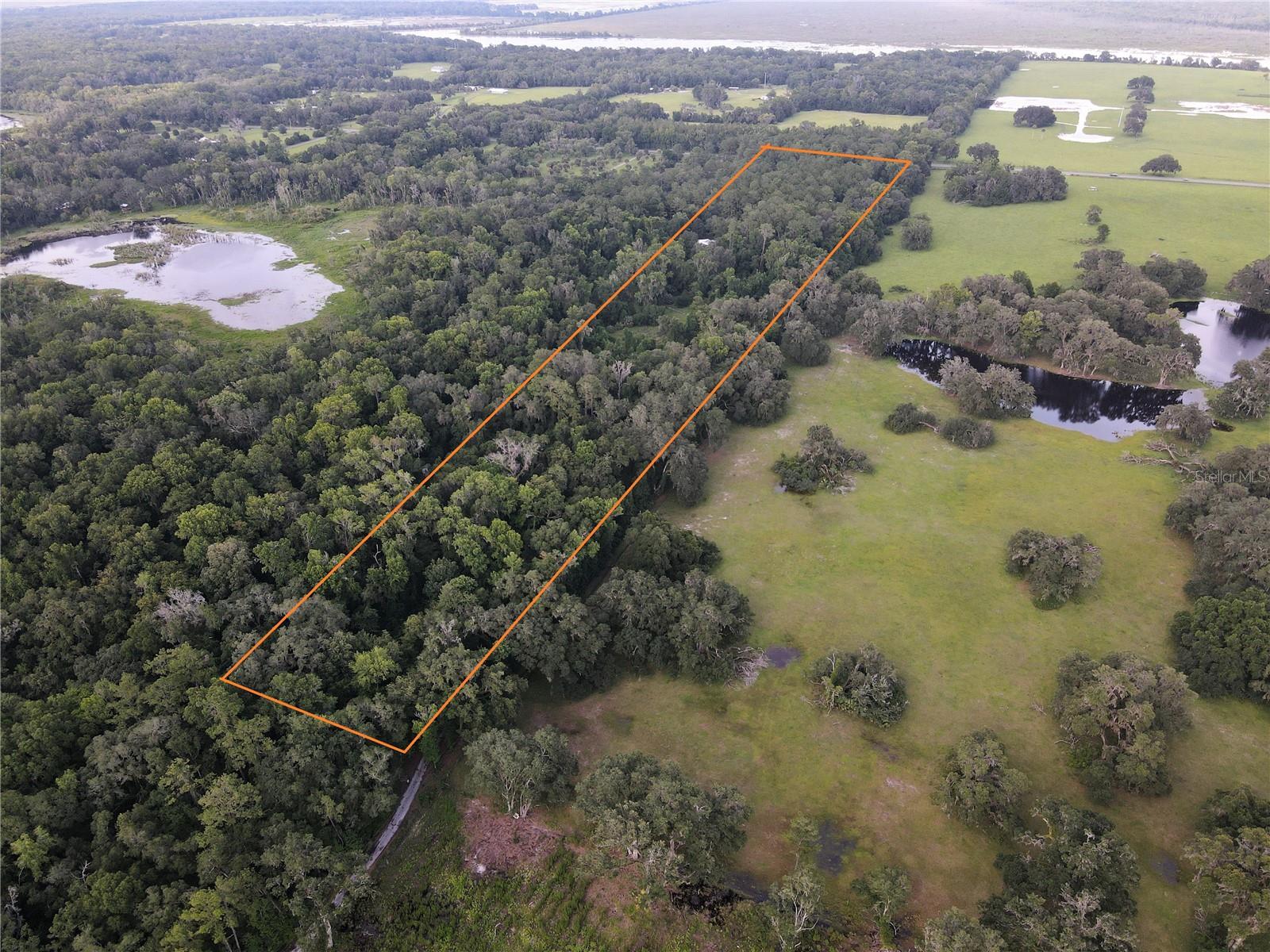 15208 SW WILLISTON RD, MICANOPY, FL — photo 4