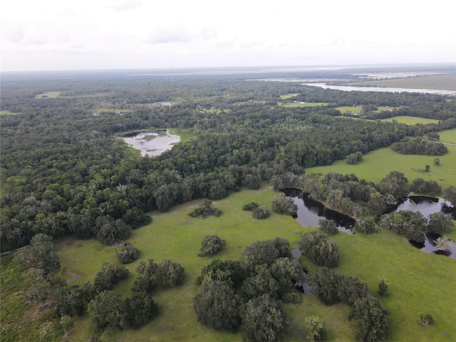 15208 SW WILLISTON RD, MICANOPY, FL — photo 21