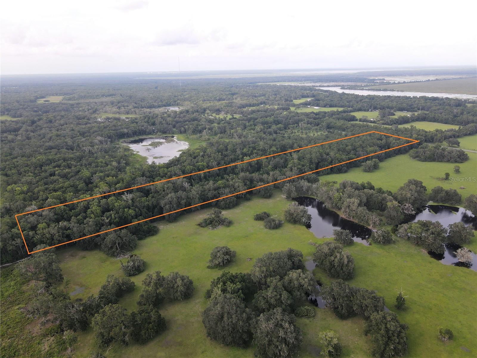 15208 SW WILLISTON RD, MICANOPY, FL — photo 22