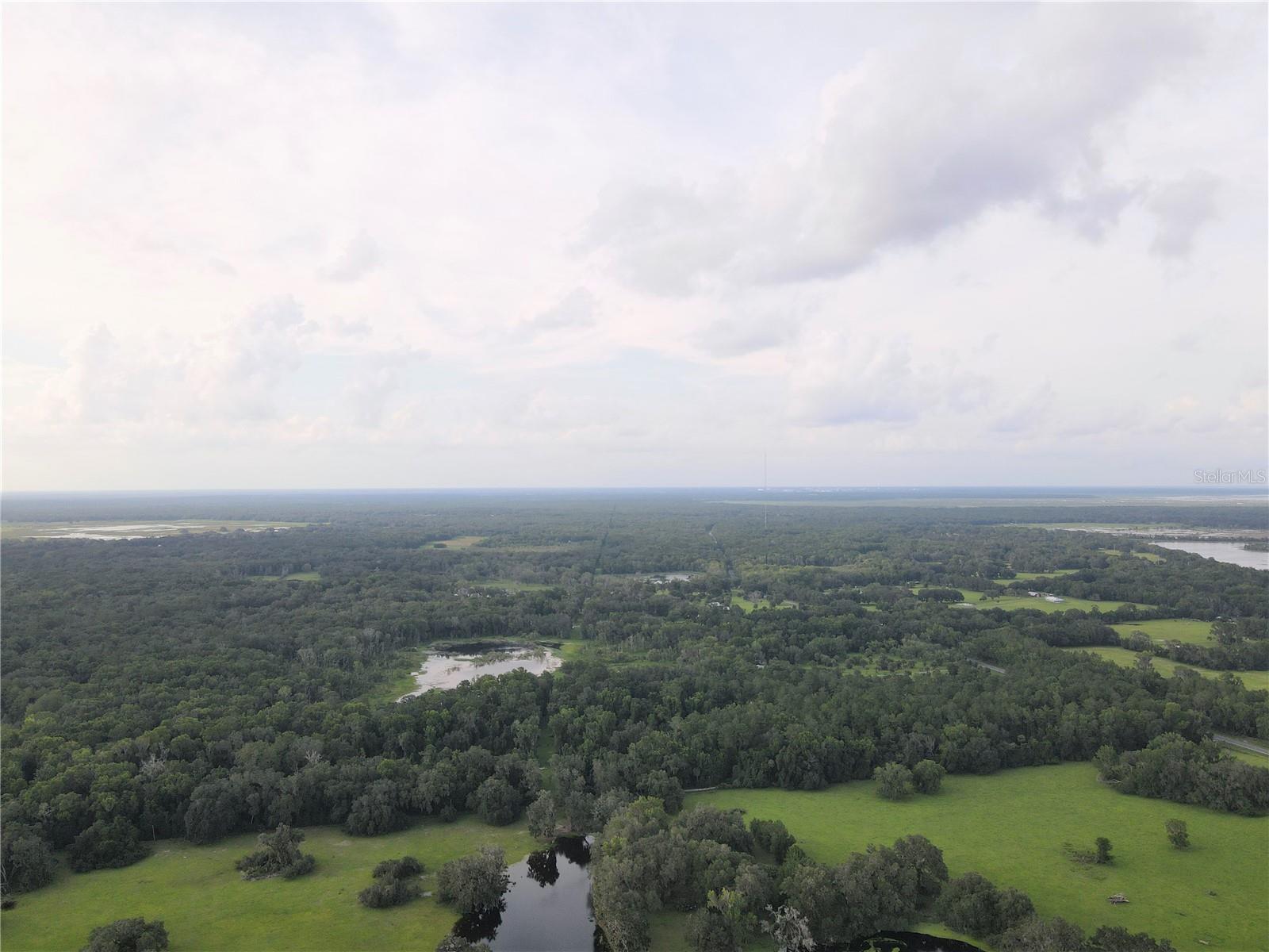 15208 SW WILLISTON RD, MICANOPY, FL — photo 24